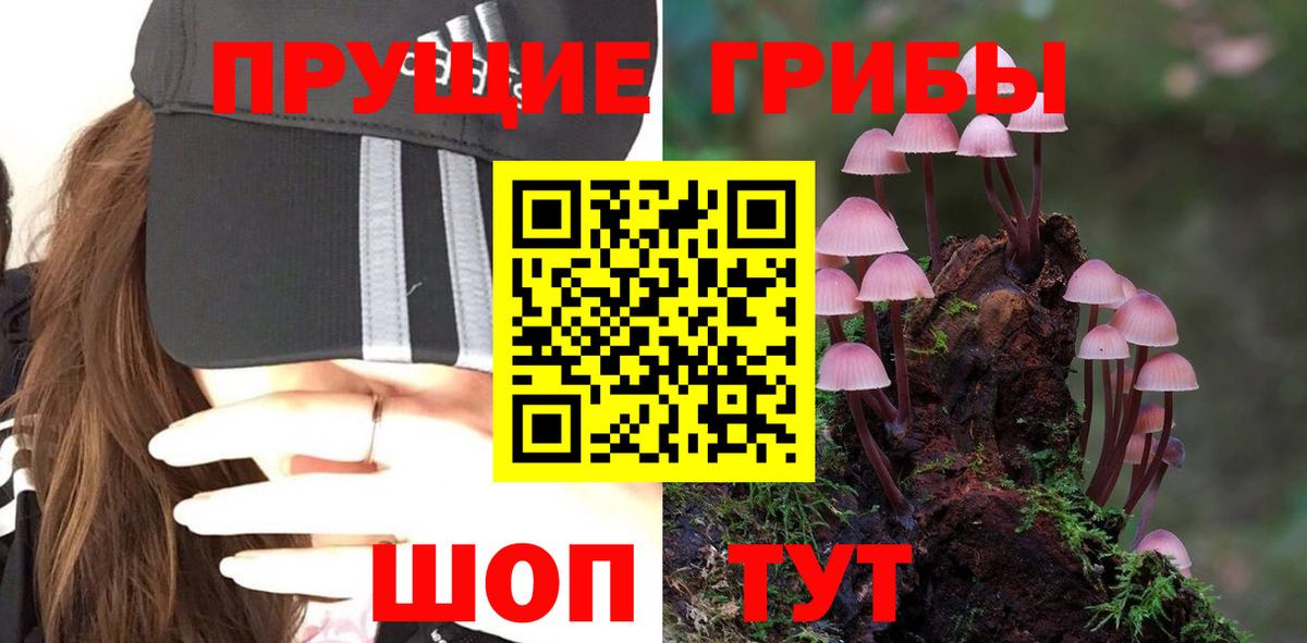 Кстово  Галлюциногенные грибы MAGIC MUSHROOMS  Вход с VPN 