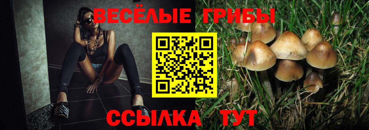 Галлюциногенные грибы прущие грибы Кстово