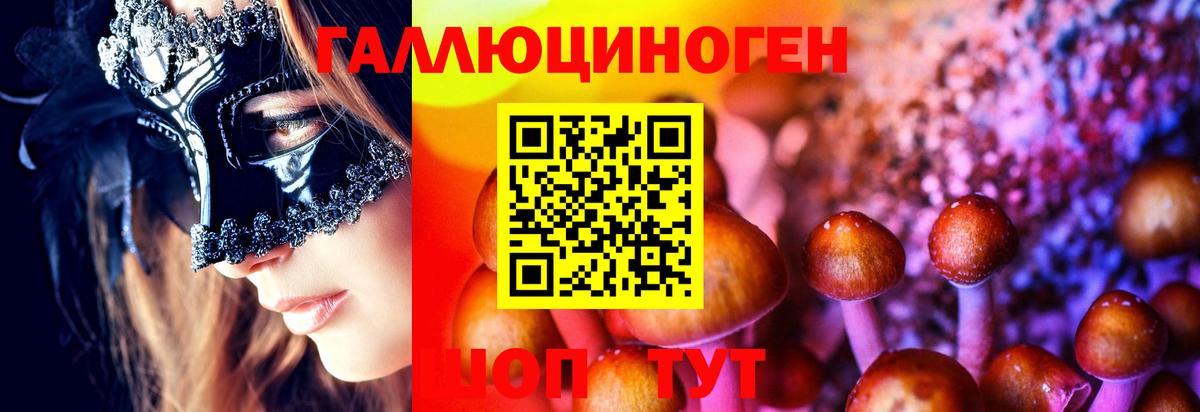Кстово  Вход с VPN  Канабис  Меф   ГАШ  COCAIN  A PVP СОЛЬ кристаллы 